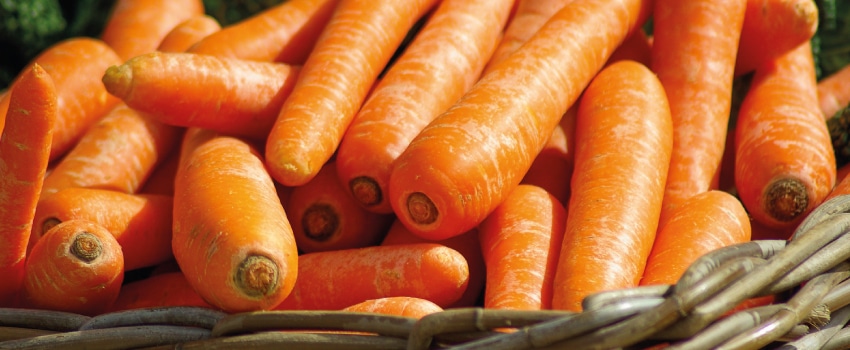 Die Therapeutic Lifestyle Change Diät.