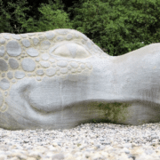 Abnehmen in den Wechseljahren