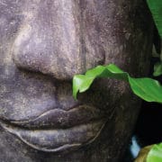 Abnehmen mit der Ayurveda Diaet - Erfahrungen.