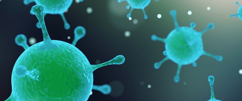 Bakterien der Anti Pilz Diät