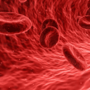 Blutzellen - Blutgruppendiät