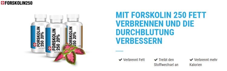 Unsere Erfahrung: Forskolin 250 lohnt sich zu kaufen